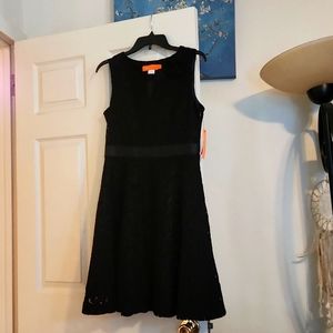 Cynthia Steffe size 8 lace overlay dress brand new with tags